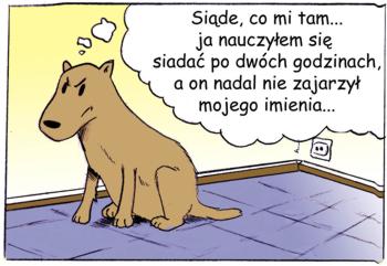 Komiks z psami: PRZYGODY PSA ZGREDKA: Wzajemne zrozumienie
