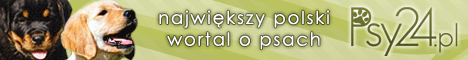psy24.pl - Najwi�kszy polski wortal o psach!