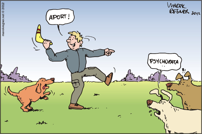 Komiks z psami: Aport