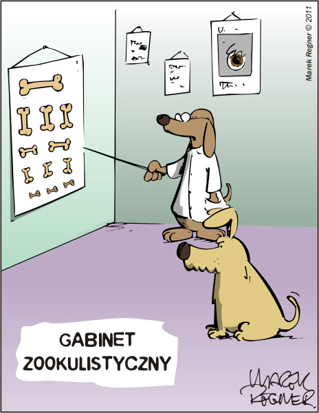 Pies u lekarza