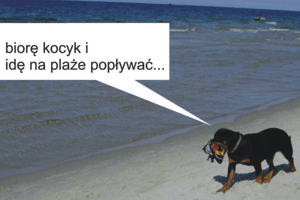 Komiks z psami: Wypad na plażę