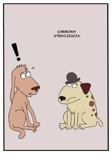 Komiks z psami: Nagroda
