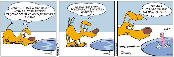 Komiks z psami: Epizod 8/09 - Połów
