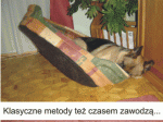 Komiks z psami: Metoda na spanie