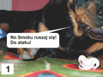 Komiks z psami: Cała prawda o Smokach