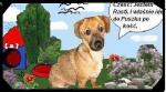 Komiks z psami: Miły sprzedawca