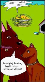Komiks z psami: ABC Juniora