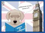 Komiks z psami: Nauka angielskiego