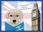 Komiks z psami: Nauka angielskiego