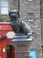Edynburg: historia psiej miłości