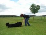 Klikerowe szkolenie psów. Przedstawienie metody klikerowej szkolenia psów