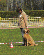 Klikerowe szkolenie psów. Przedstawienie metody klikerowej szkolenia psów - cz2