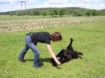 Klikerowe szkolenie psów. Przedstawienie metody klikerowej szkolenia psów - cz2