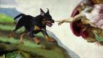 Rottweiler: Sztuka i rotti cz.2